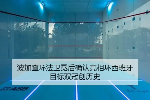 bo-jia-cha-huan-fa-wei-mian-hou-que-ren-liang-xiang-huan-xi-ban-ya-mu-biao-shuang-guan-chuang-li-shi-2-215.jpg
